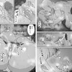 マゾギャル〜こんなオタクに堕とされるなんて…〜_009